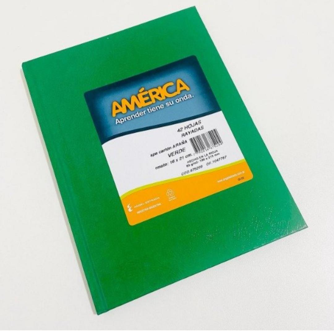 CUADERNOS AMERICA 16X21 42HJS CUAD.VERDE     CUADRICULADO T/DURA