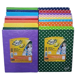 CUADERNOS EXITO E1 X 48 HJS T.DURA FORRADO   16X21CM